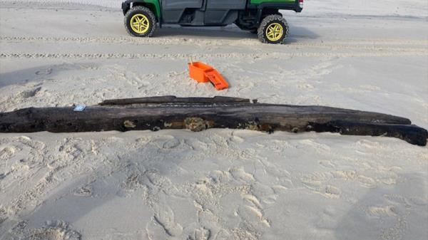 Maryland beach Assateague Island Natio<em></em>nal Seashore