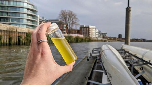 EMBARGOED TO 0001 WEDNESDAY MARCH 27 Undated handout photo issued by River Action of a water sample taken from the River Thames around Hammersmith Bridge in west London. High levels of E.coli have been found along a stretch of the River Thames that will be used for the historic Oxbridge Boat Race this weekend, researchers said. Issue date: Wednesday March 27, 2024.</p>

<p>　　
