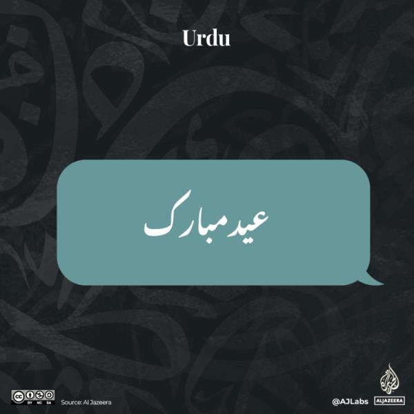 Interactive_Urdu-1712214327