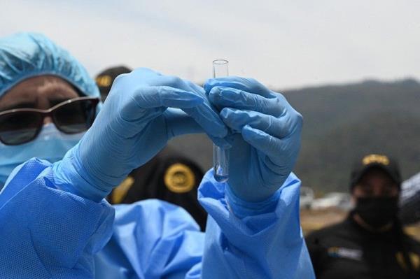 一名女子在假辫子里藏了两公斤可卡因