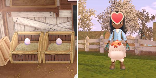 季节的故事：一个美好的生活-如何获得和孵化受精卵