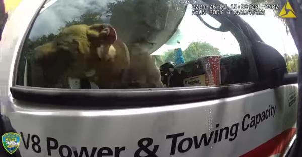 Police did not release the owners' names or what charges they may face if the State Attorney's Office chooses to prosecute them.