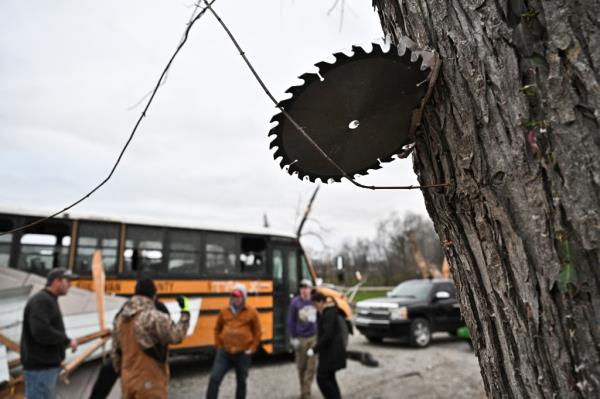 A saw blade is seen imbedded in the trunk of a tree.