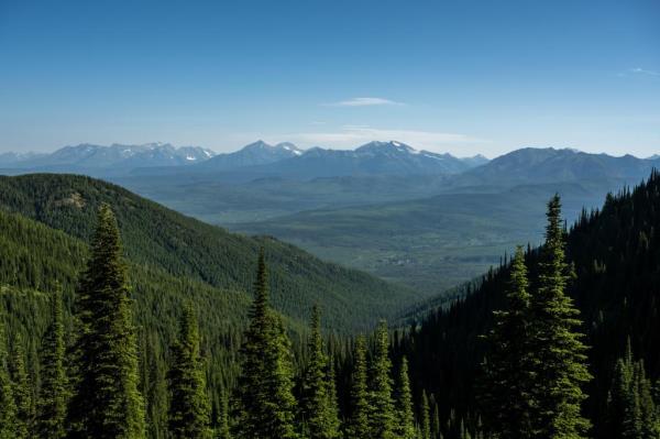 Mo<em></em>ntana mountain range in summer from Huckleberry Lookout tower