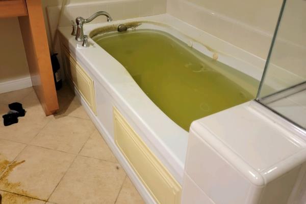 Green water in Carter's bathtub.