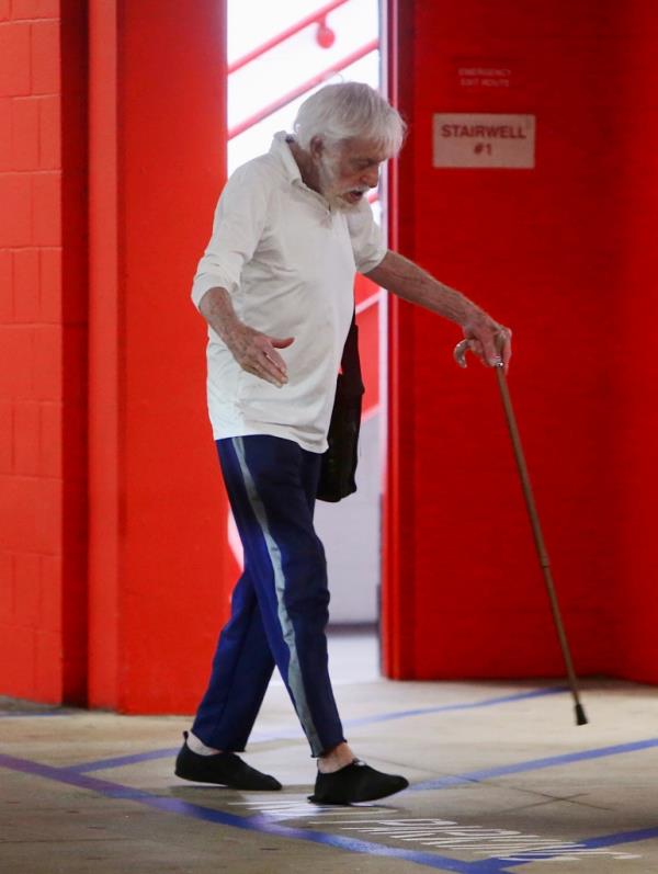 Van Dyke gamely joined his wife at a Santa Mo<em></em>nica Target.