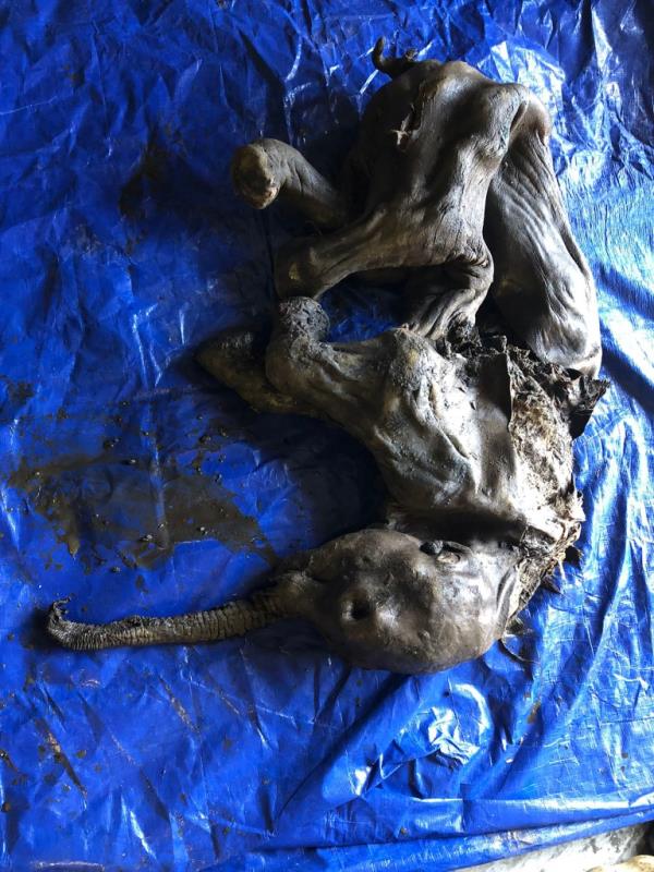 Scientists are blown away by the remarkable discovery.