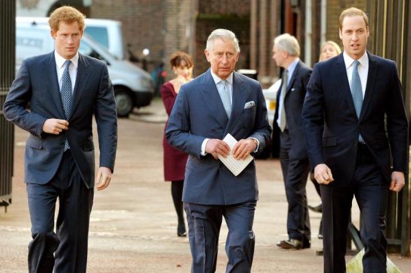 Prince Harry, King Charles III, and Prince William at the Illegal Wildlife Trade Co<em></em>nference at Lancaster House on February 13, 2014.