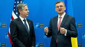 Ukraine’s NATO ambitions ‘annoy’ US – MP