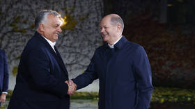 Scholz takes credit for ‘unanimous’ EU Ukraine vote
