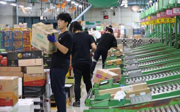 由于旅游需求，网上购物增长6.1%