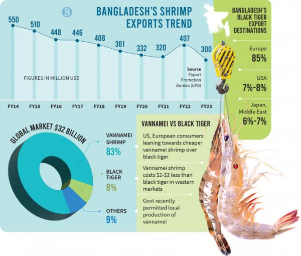 随着西方消费者收紧支出，虾类出口下降