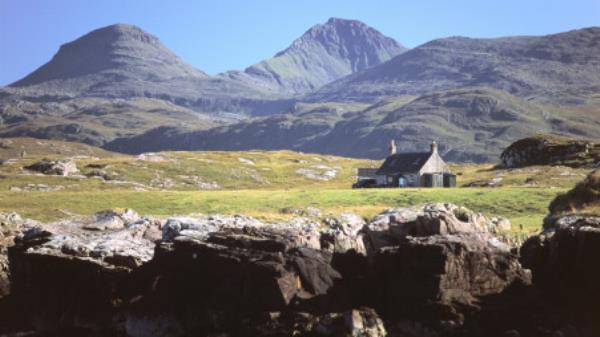 野外生活：我对动物行为科学的介绍｜商业标准