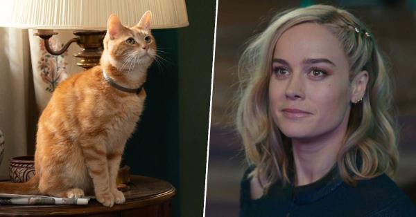 古斯在《奇迹》中的戏份是由布丽·拉尔森的特技替身拍摄的，因为她对猫过敏