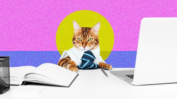 向专家请教：我需要什么技能才能成为一名优秀的经理？