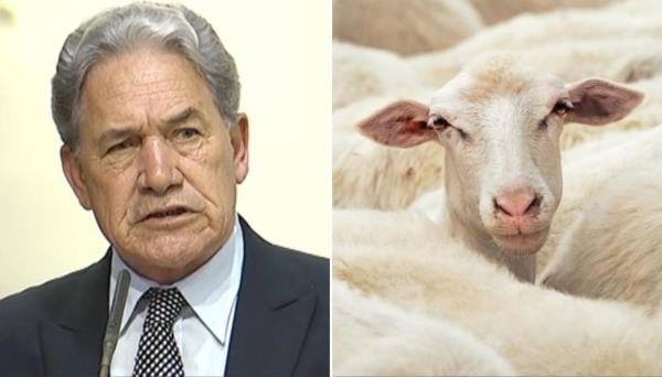 这是国家党和新西兰第一党就羊毛问题达成的联合协议中缺少的关键细节