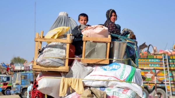 巴基斯坦官员：美国不反对非法遣返阿富汗人