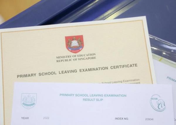 PSLE结果将于11月22日公布