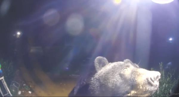 观察：贝尔拜访弗吉尼亚的家，门铃摄像头拍下了这一幕