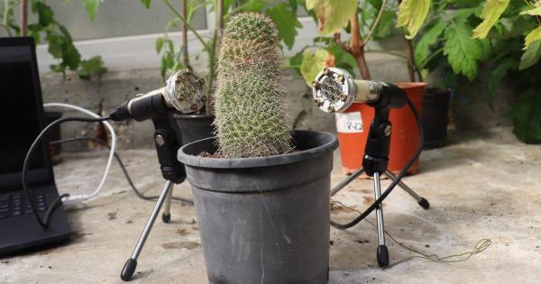 特拉维夫大学研究小组发现，植物并不沉默