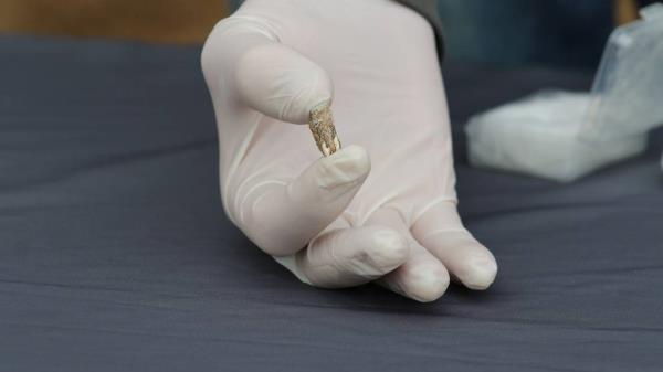 专家称，欧亚大陆考古遗址出土了180万年前的人类牙齿