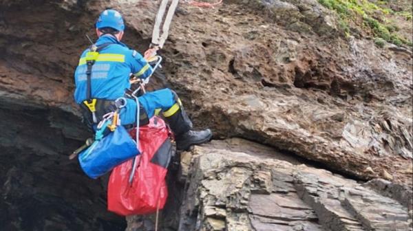 海岸警卫队发出警告，失去领先地位的狗从康沃尔悬崖边缘坠落