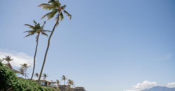 毛伊岛开放旅游，但失去拉海纳岛可能重塑旅游业