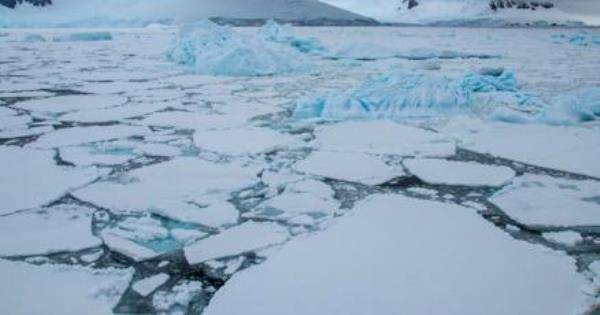 问天气预报员：今年的海冰状况如何？
