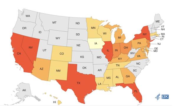 Candida auris map
