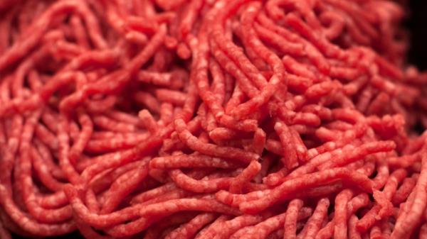 美国东北部爆发与碎牛肉有关的沙门氏菌疫情，导致16人患病，6人住院