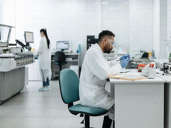 高叶酸，低B12可能影响小鼠胎儿大脑发育：研究