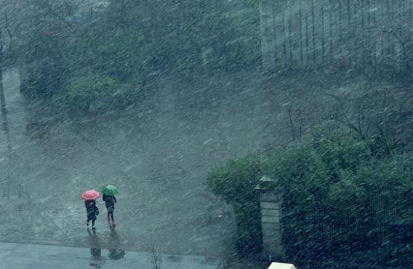 南部和东南部七个县发布降雨预警