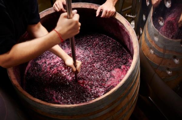 Wine production