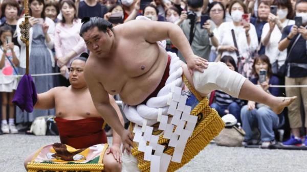 寺富士想要在名古屋芭芭罗的稀有地位上更进一步