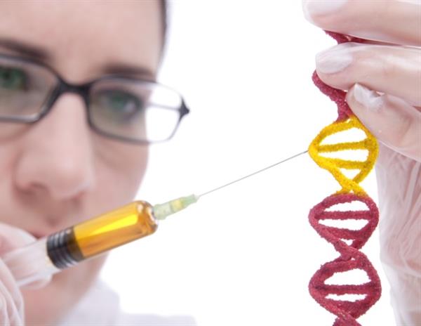 猪笼草的秘密武器：多倍体如何刺激新功能的进化