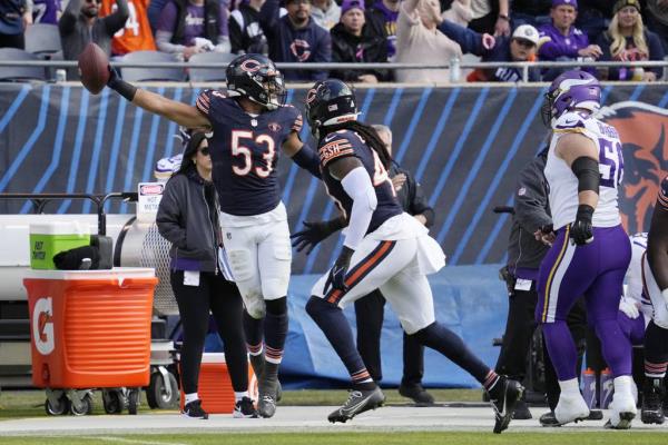 Bears linebacker T.J. Edwards celebrates after recovering a fumble during the first half against the Vikings on Oct. 15, 2023. The ruling was overturned on replay.