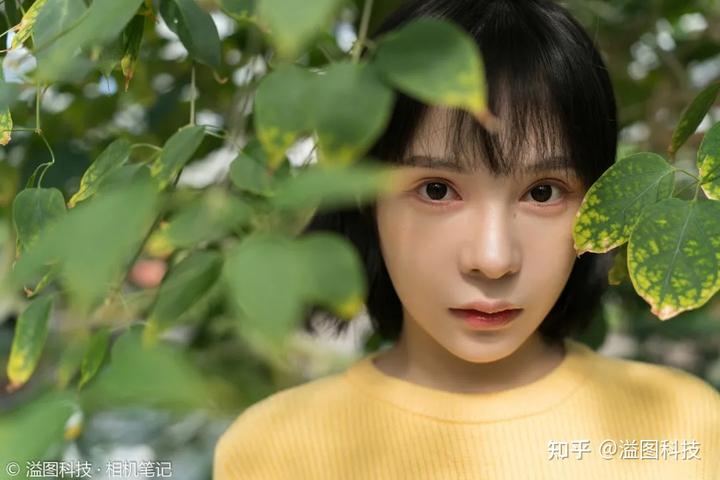 腾龙2470是一款经典的变焦镜头,因其广泛的应用范围和出色_腾龙大变焦画质_变焦系统设计