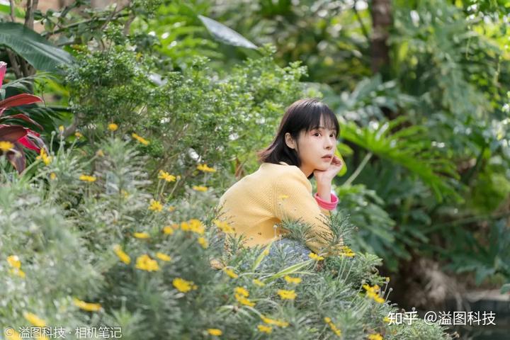变焦系统设计_腾龙2470是一款经典的变焦镜头,因其广泛的应用范围和出色_腾龙大变焦画质