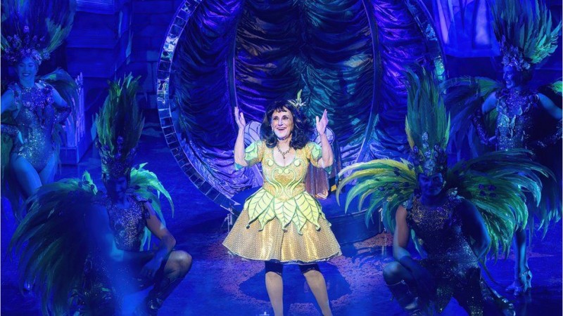 Lesley Joseph on stage as 