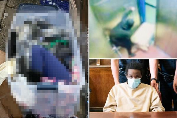 在法官宣判终身监禁前，纽约青少年猛烈抨击勒死母亲的表亲