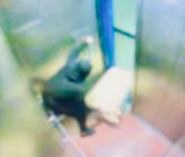 Murderer caught on camera.