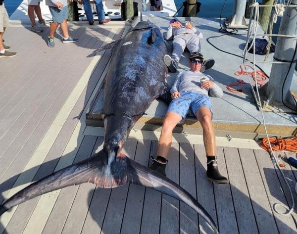 垂钓者捕获的蓝马林鱼将打破阿拉巴马州墨西哥湾的记录