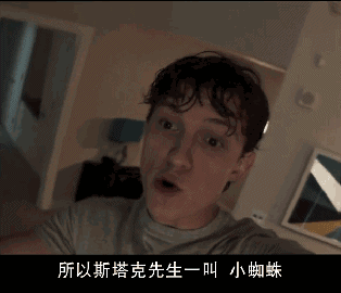 小蜘蛛荷兰弟电影顺序	超凡蜘蛛1电影高清_蜘蛛大电影_电影《蜘蛛》