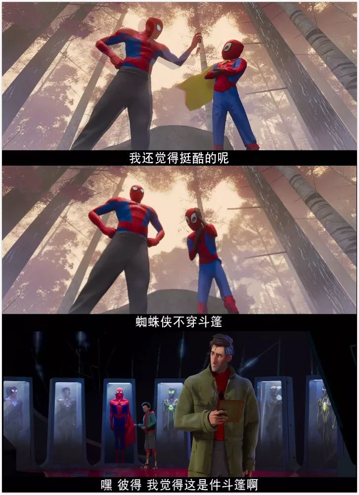 小蜘蛛荷兰弟电影顺序	超凡蜘蛛1电影高清_电影《蜘蛛》_蜘蛛大电影