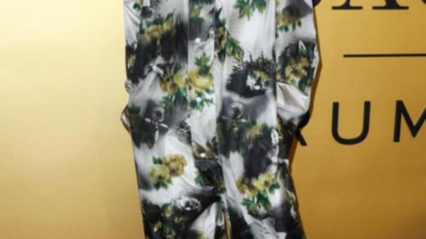 Hunter Schafer看中了塞尔达传说的电影角色