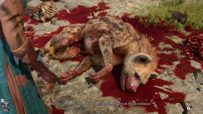 The dying hyena in Baldur's Gate 3.