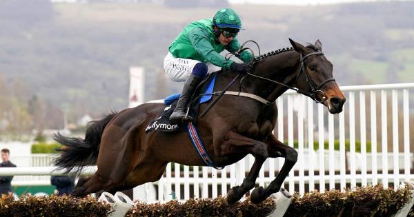 周日，在童话屋举行的“冬季节日”活动中，伊帕尔·埃特·帕斯成为了明星