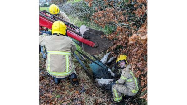 从泥泞的下水道中救出的小驴，然后被消防员喂了姜片坚果