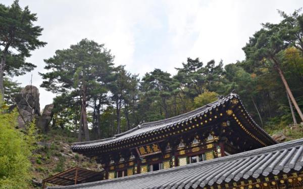 不要忽视Haein TEMPLE的隐居之处