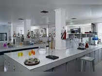 Supriya生命科学公司第三季度业绩：净利润增长三倍，达到3亿卢比